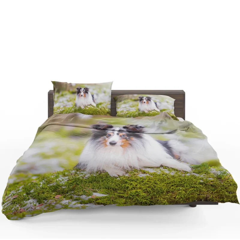 Idyllic Moment: Shetland Sheepdog Quartet Bedding Set