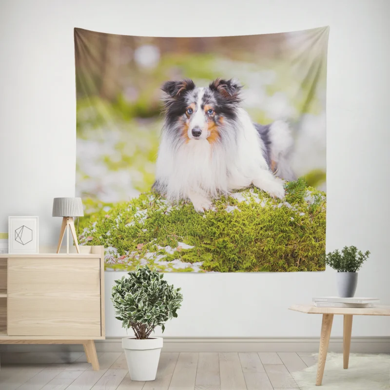 Idyllic Moment  Shetland Sheepdog Quartet Wall Tapestry