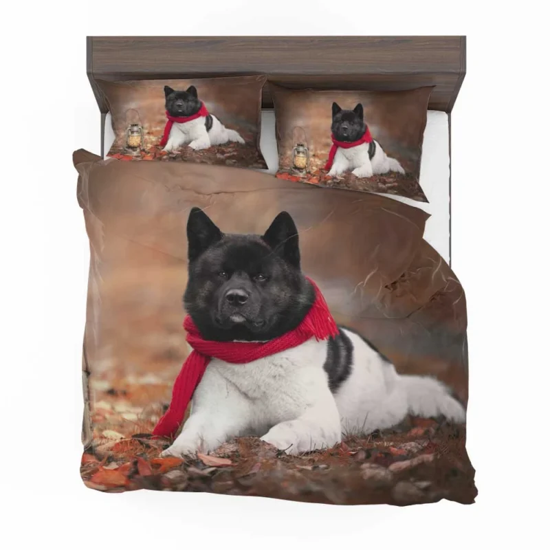 Illuminating Beauty: Akita Quartet in Lantern Light Bedding Set 1