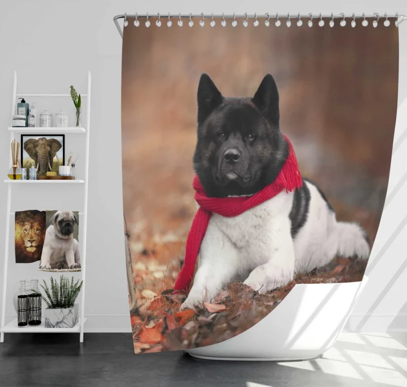 Illuminating Beauty: Akita Quartet in Lantern Light Shower Curtain