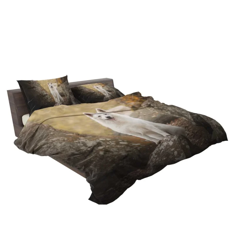 In-Depth Beauty: White Shepherd Quartet Bedding Set 2