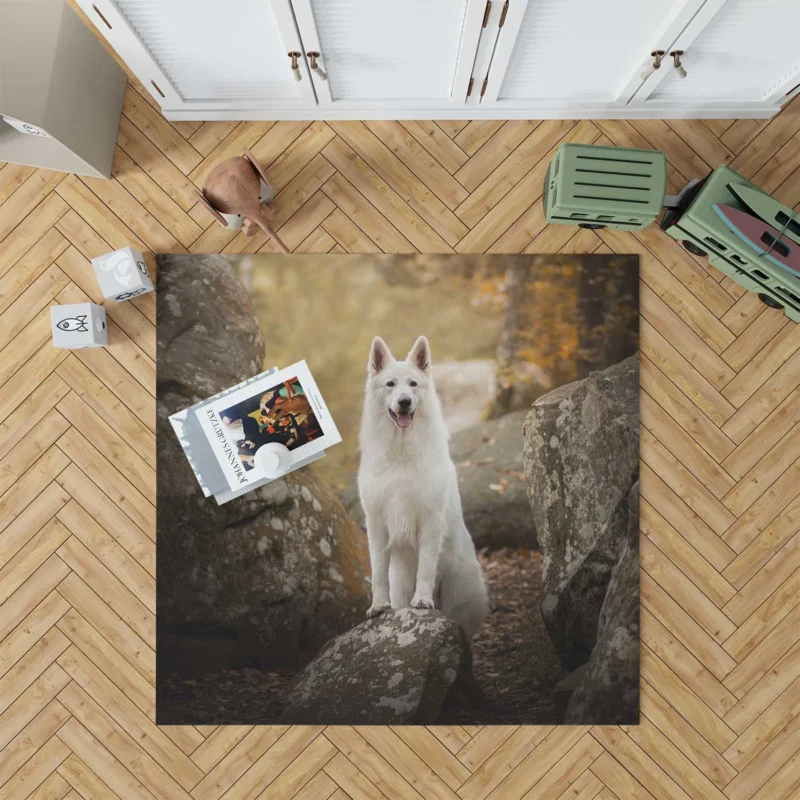 In-Depth Beauty: White Shepherd Quartet Floor Rug