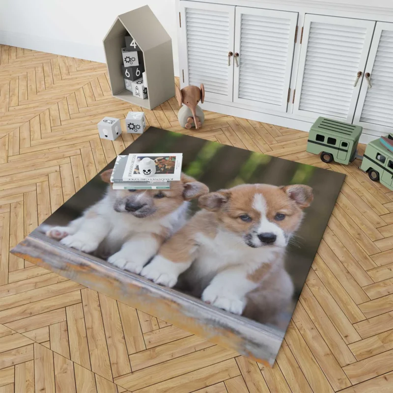 Inquisitive Pups in Bauble: Corgi Quartet Floor Rug 1