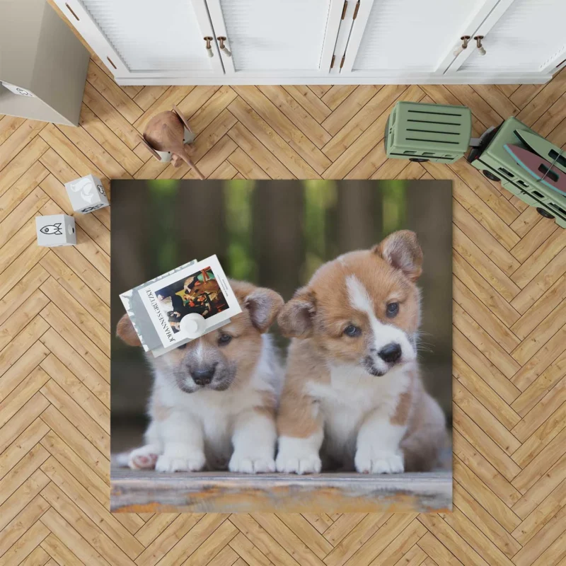 Inquisitive Pups in Bauble: Corgi Quartet Floor Rug