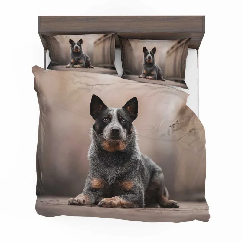 Intelligent Canine Companion: Australian Cattle Dog Bedding Set 1