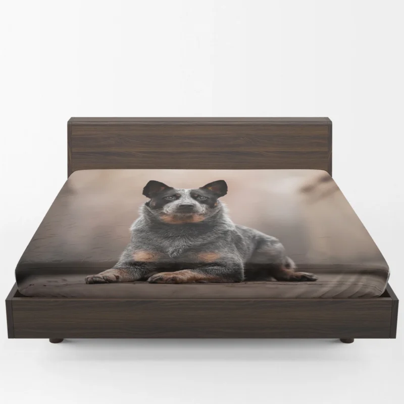 Intelligent Canine Companion: Australian Cattle Dog Fitted Sheet 1