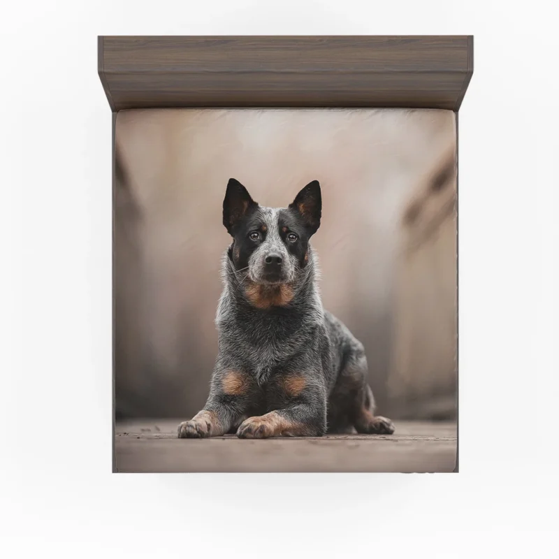 Intelligent Canine Companion: Australian Cattle Dog Fitted Sheet