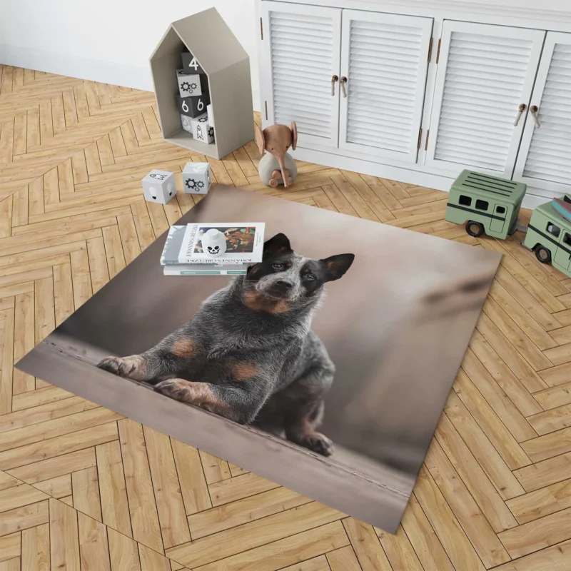 Intelligent Canine Companion: Australian Cattle Dog Floor Rug 1