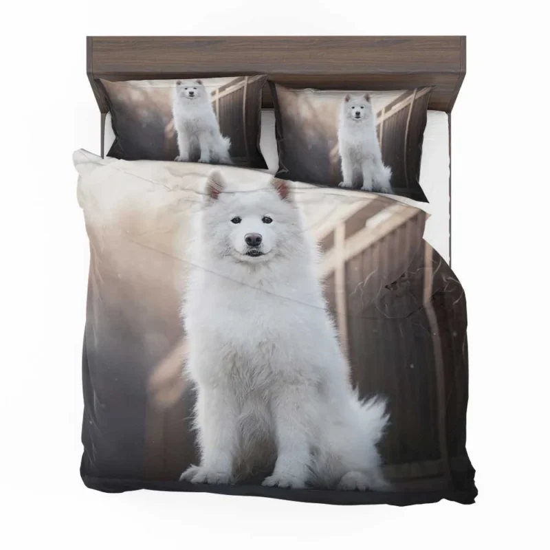 Intelligent Elegance: Samoyed Quartet Bedding Set 1