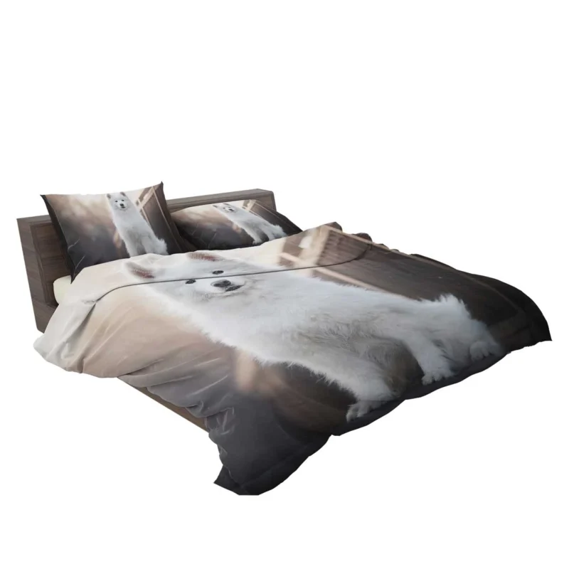 Intelligent Elegance: Samoyed Quartet Bedding Set 2