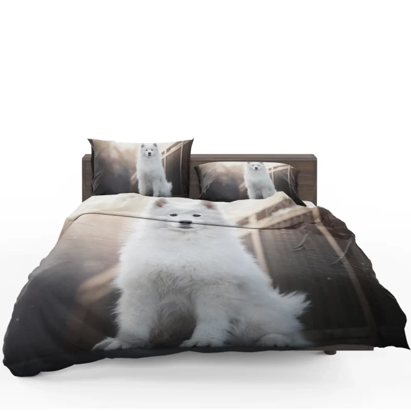 Intelligent Elegance: Samoyed Quartet Bedding Set