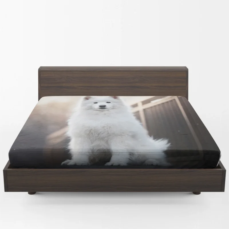 Intelligent Elegance: Samoyed Quartet Fitted Sheet 1