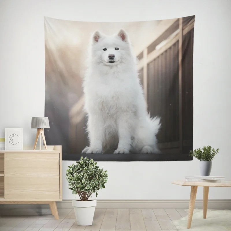 Intelligent Elegance  Samoyed Quartet Wall Tapestry