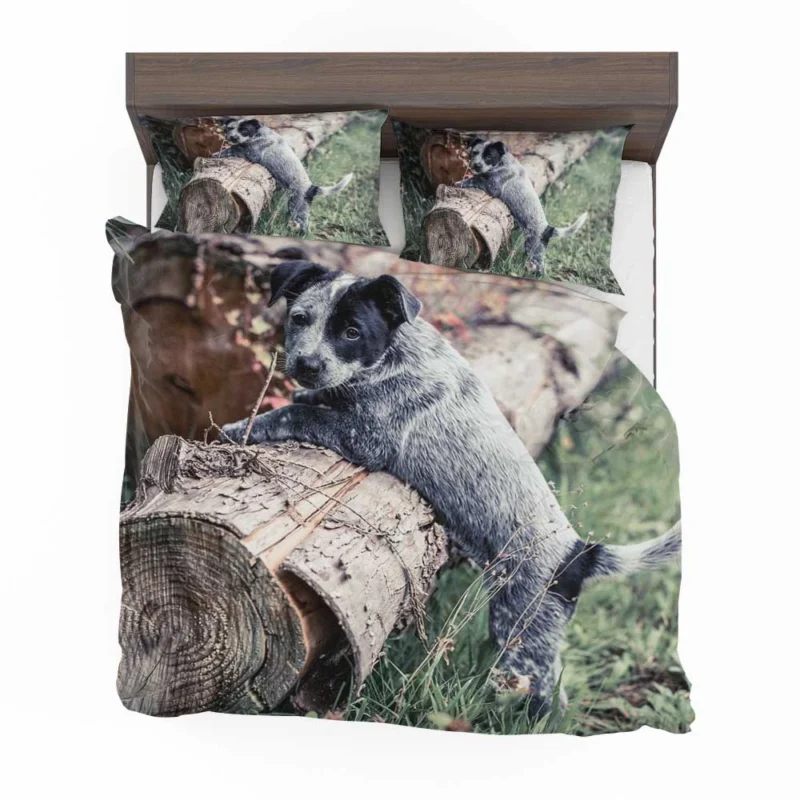 Intelligent Working Breed: Australian Cattle Dog Bedding Set 1