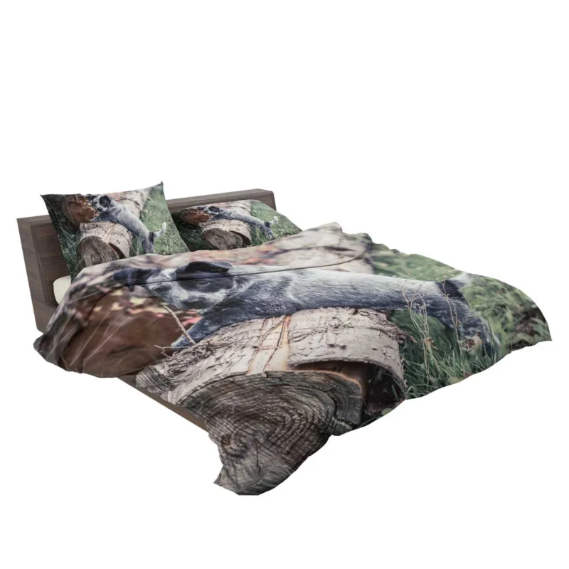 Intelligent Working Breed: Australian Cattle Dog Bedding Set 2