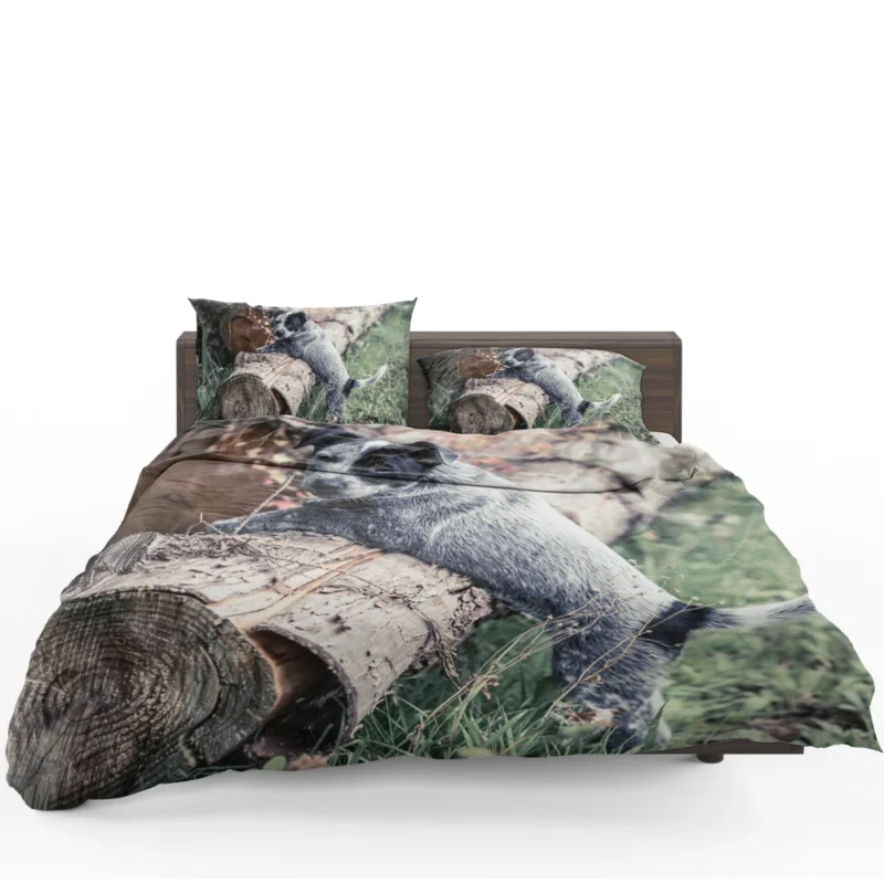 Intelligent Working Breed: Australian Cattle Dog Bedding Set