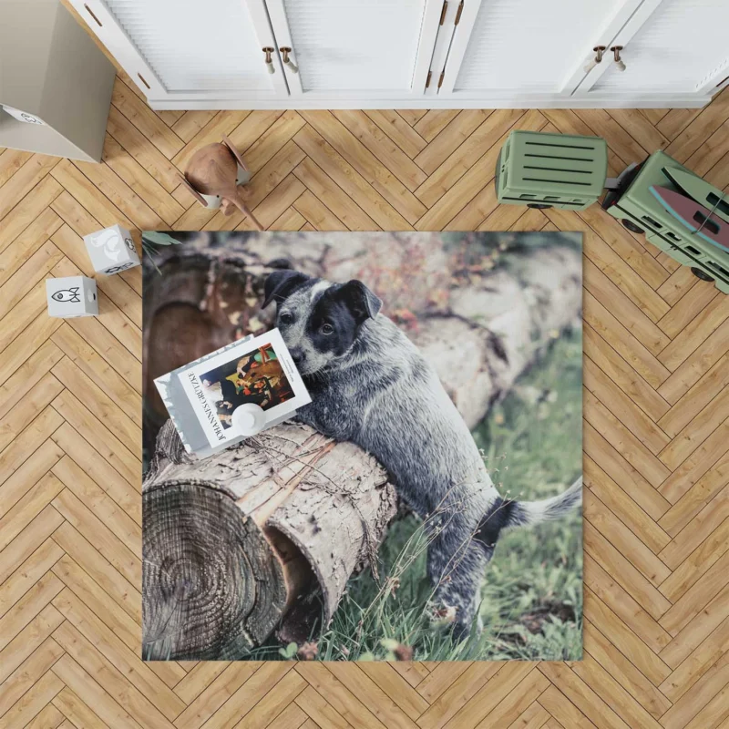 Intelligent Working Breed: Australian Cattle Dog Floor Rug