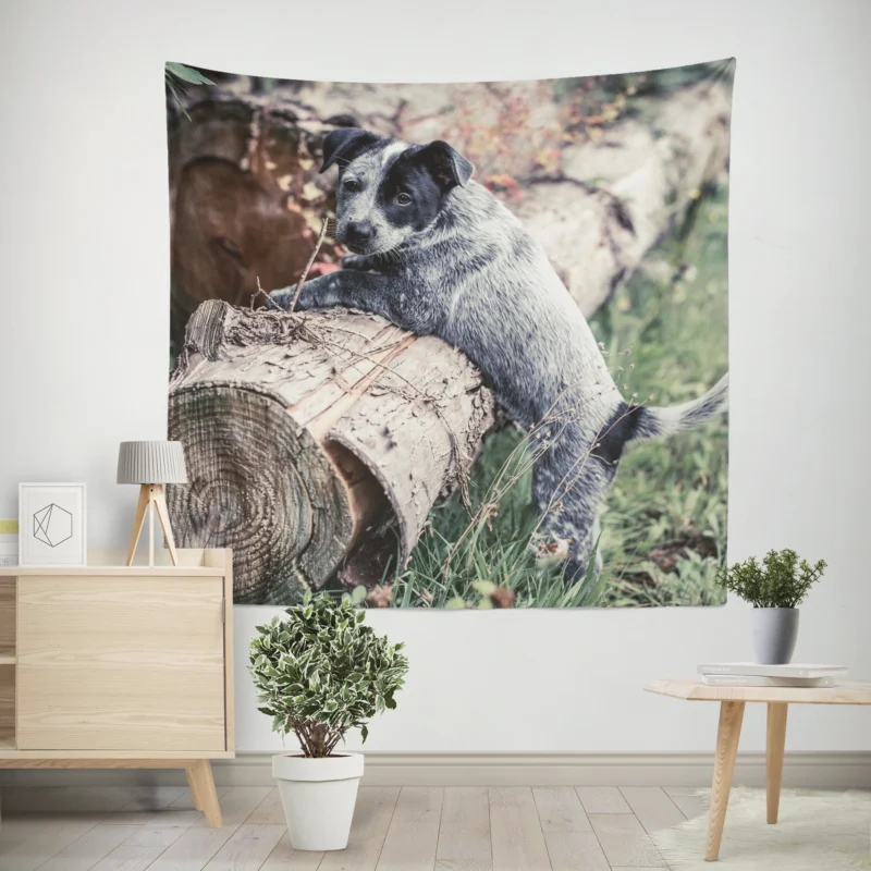 Intelligent Working Breed  Australian Cattle Dog Wall Tapestry