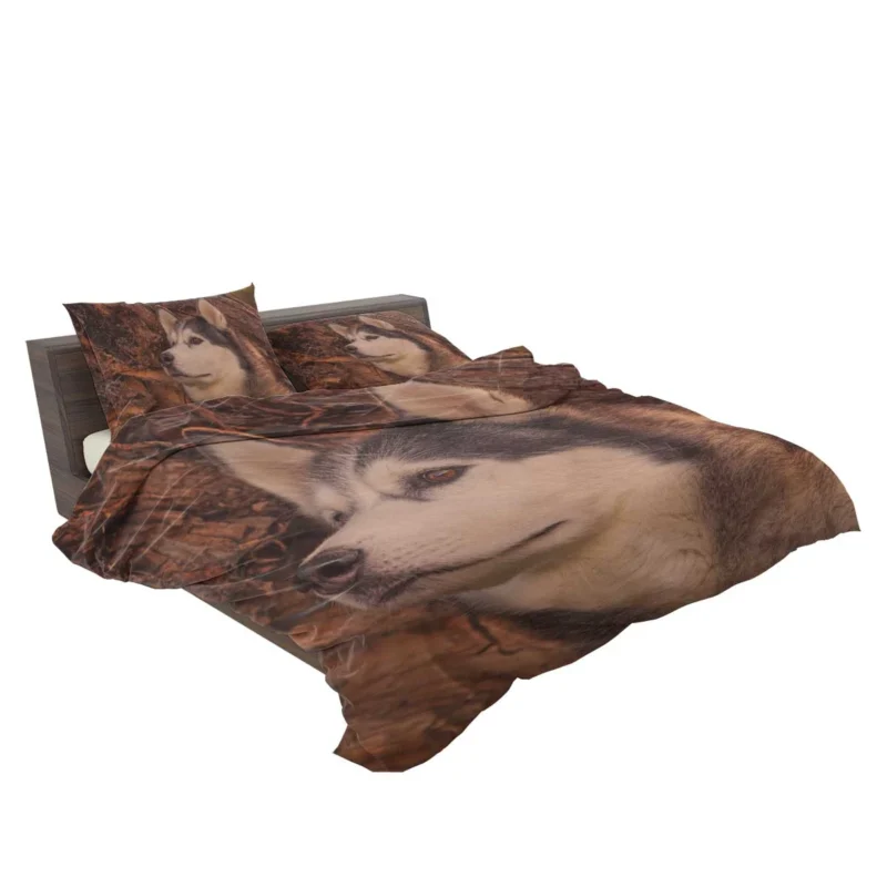 Intense Muzzle: Alaskan Malamute Quartet Bedding Set 2