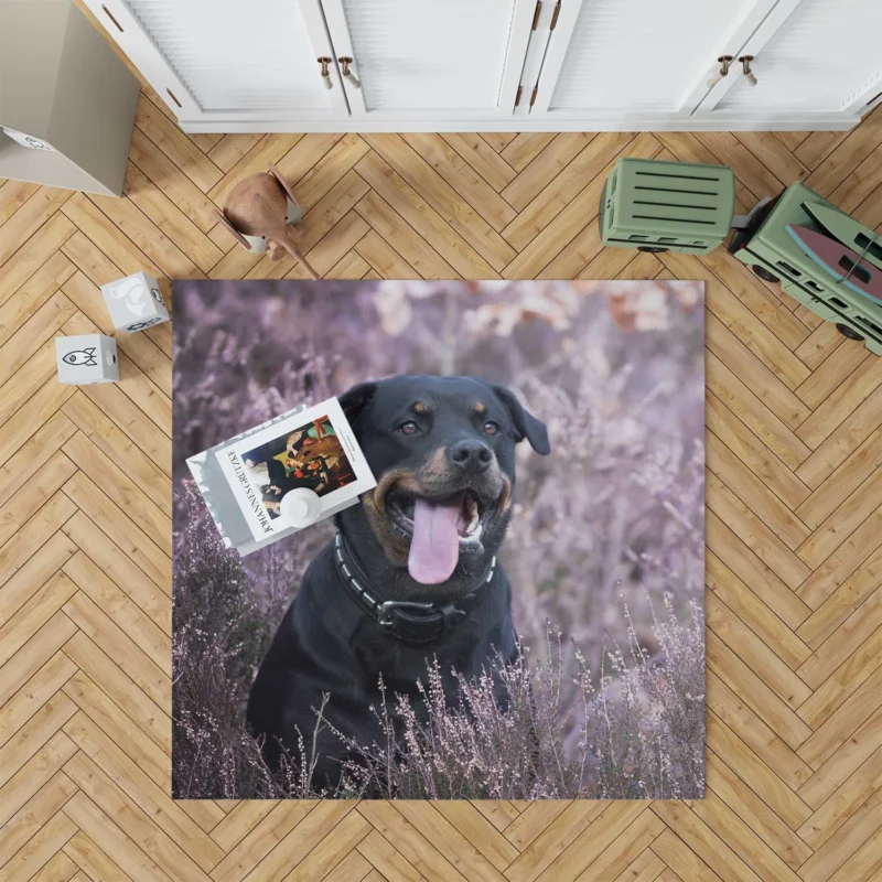 Intense Puppy Stare: Rottweiler Quartet Floor Rug