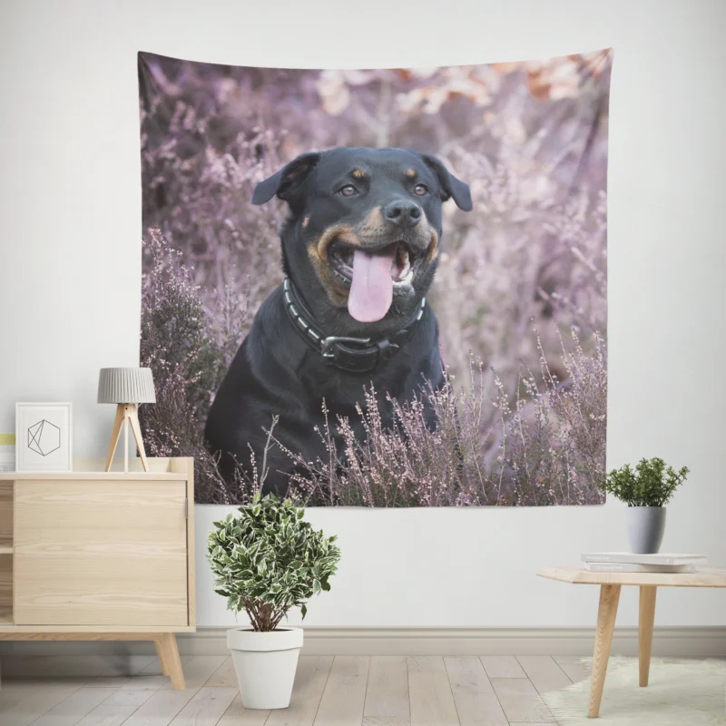 Intense Puppy Stare  Rottweiler Quartet Wall Tapestry