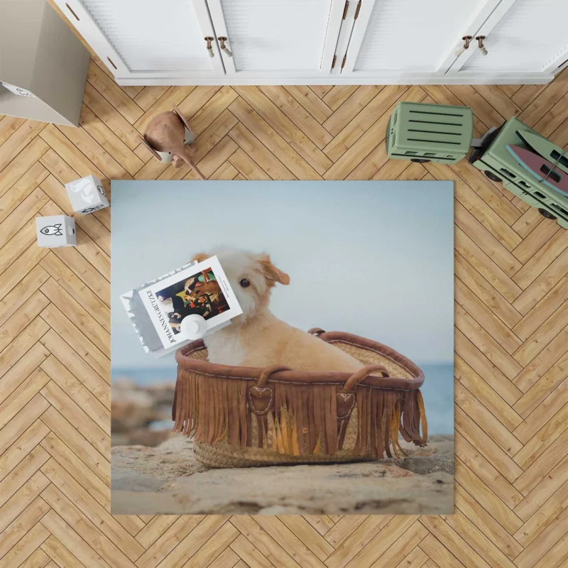 Intense Stare: Norfolk Terrier Pup Floor Rug