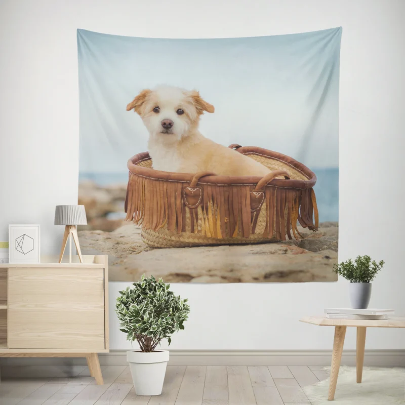 Intense Stare  Norfolk Terrier Pup Wall Tapestry