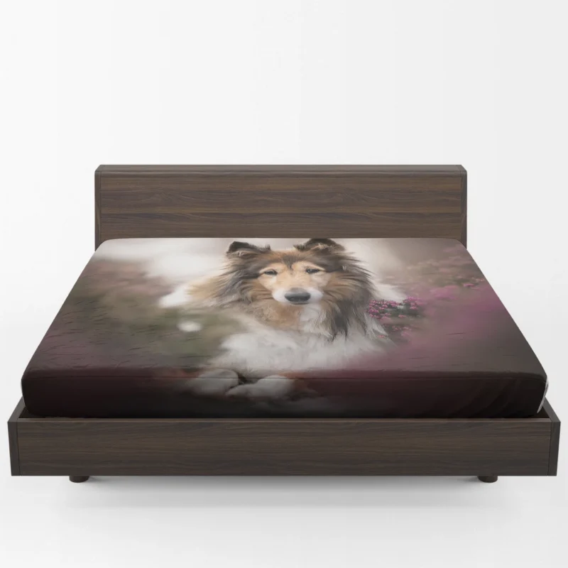 Intense Stare: Rough Collie Quartet Fitted Sheet 1