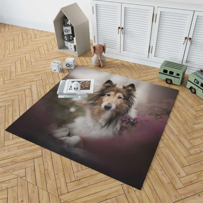 Intense Stare: Rough Collie Quartet Floor Rug 1