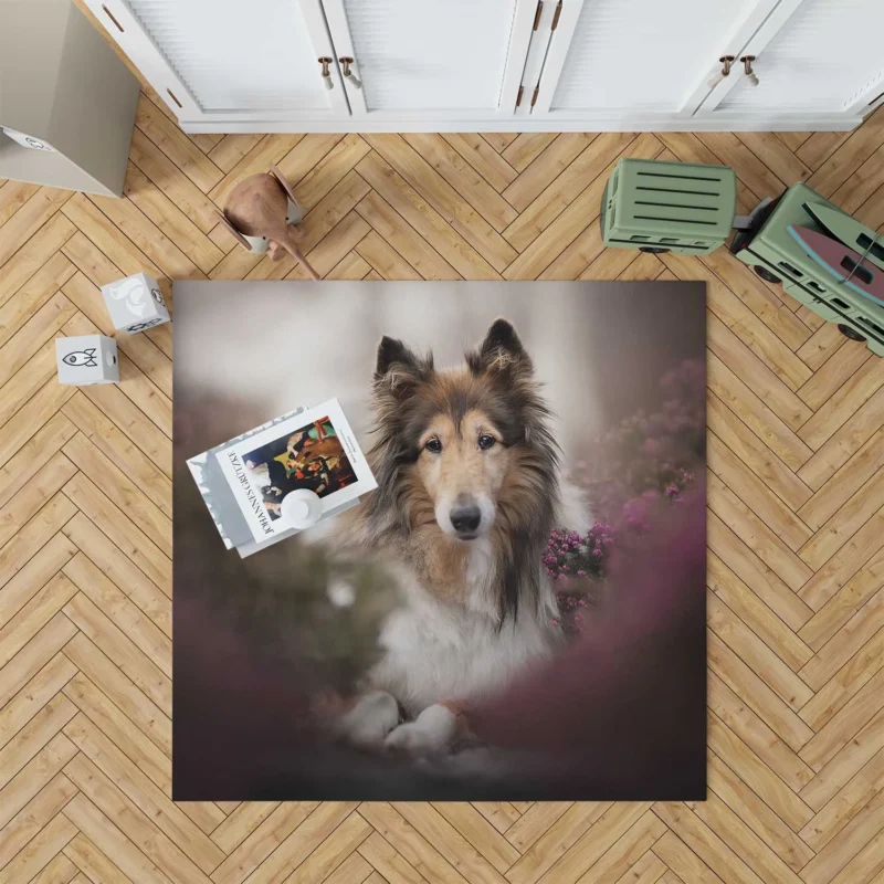 Intense Stare: Rough Collie Quartet Floor Rug