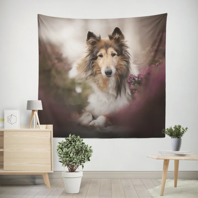 Intense Stare  Rough Collie Quartet Wall Tapestry