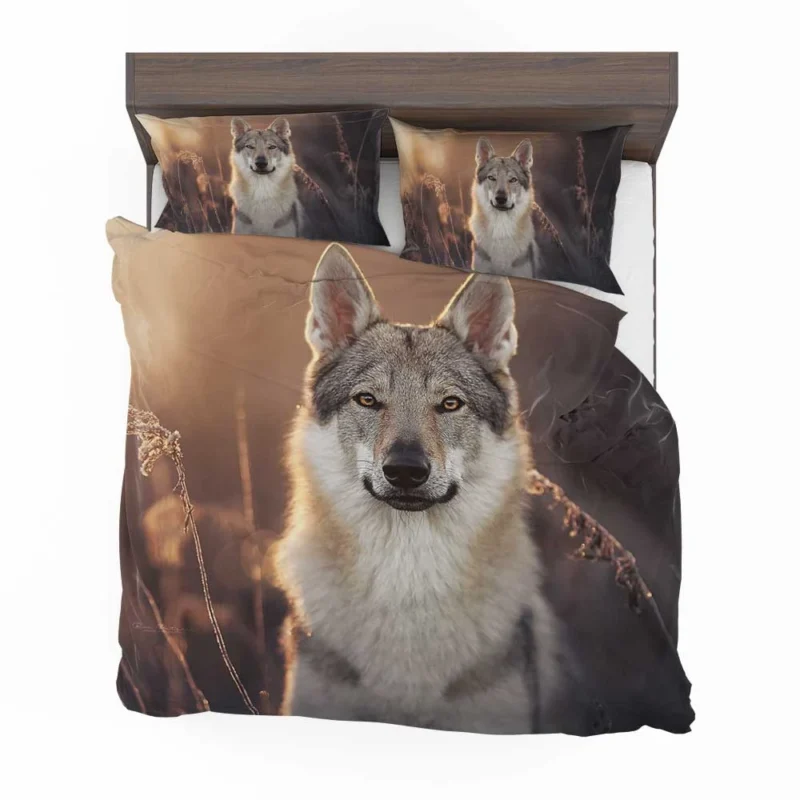 Intense Stare Under the Sky: Wolfdog Quartet Bedding Set 1