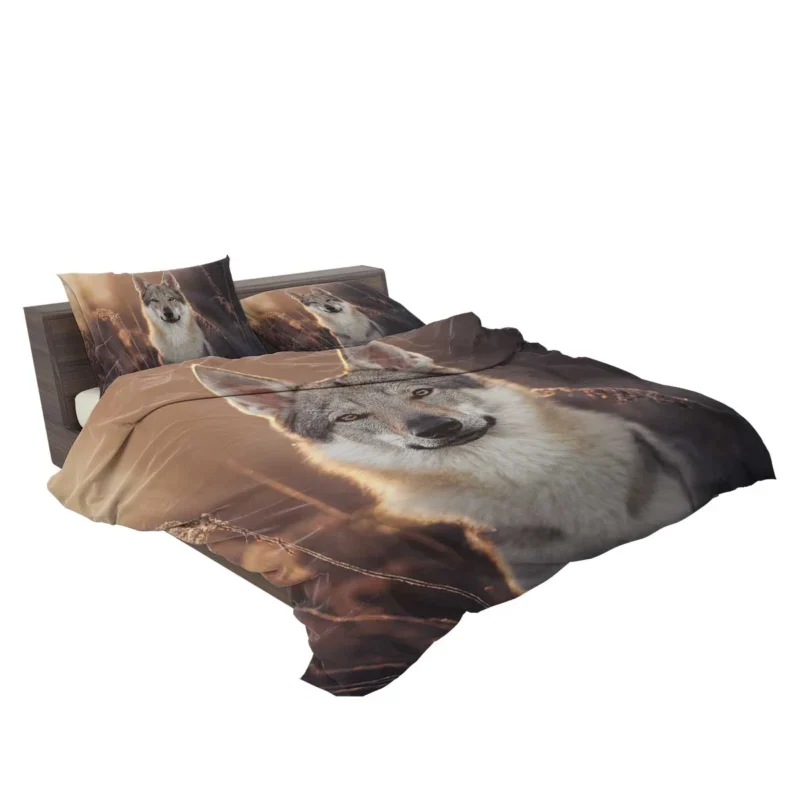 Intense Stare Under the Sky: Wolfdog Quartet Bedding Set 2