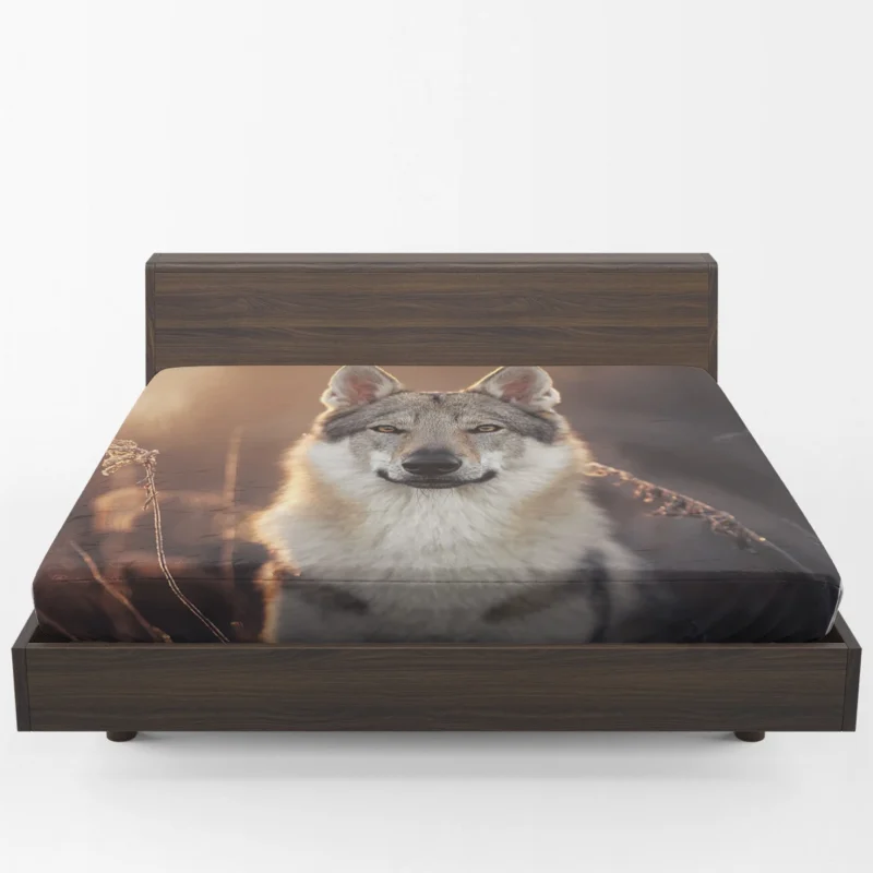 Intense Stare Under the Sky: Wolfdog Quartet Fitted Sheet 1