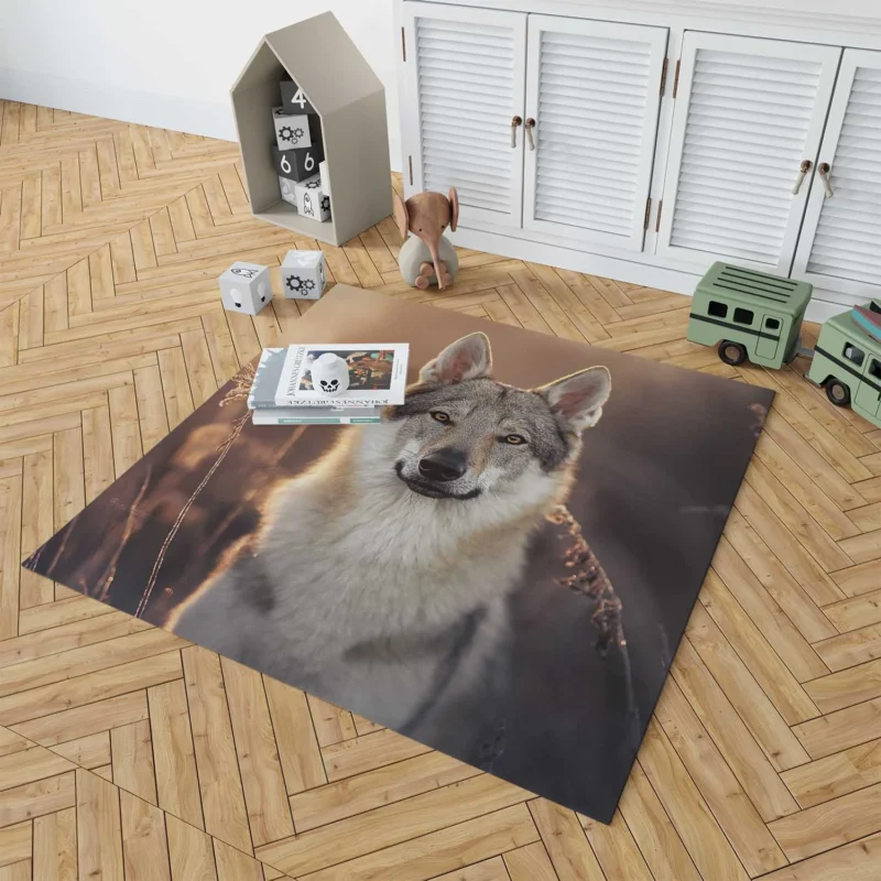 Intense Stare Under the Sky: Wolfdog Quartet Floor Rug 1