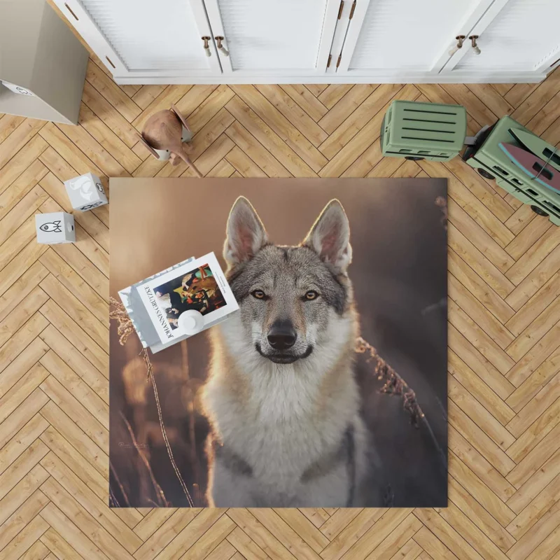 Intense Stare Under the Sky: Wolfdog Quartet Floor Rug