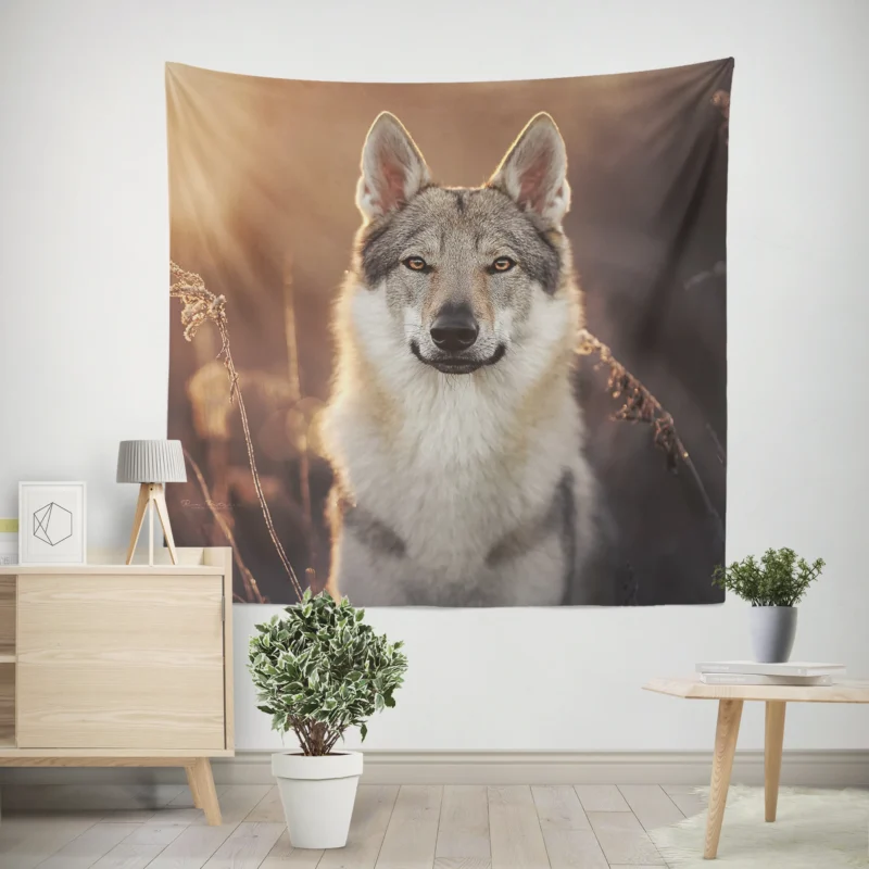 Intense Stare Under the Sky  Wolfdog Quartet Wall Tapestry