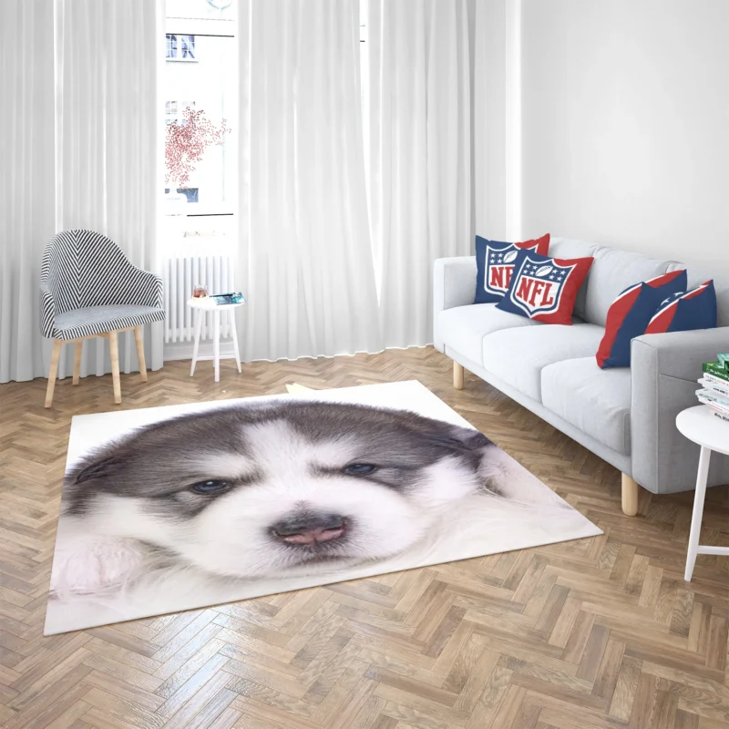 Irresistible Cuteness: Alaskan Malamute Puppy Quartet Floor Rug 2