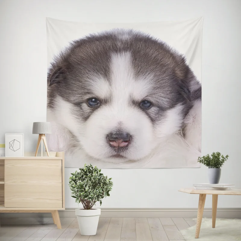 Irresistible Cuteness  Alaskan Malamute Puppy Quartet Wall Tapestry