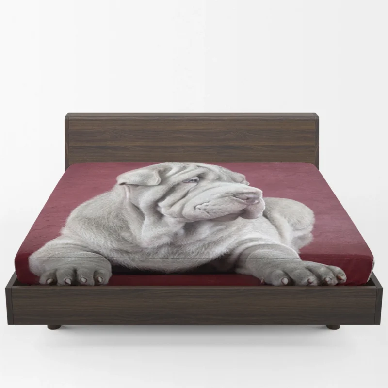 Irresistible Shar Pei Quartet Fitted Sheet 1