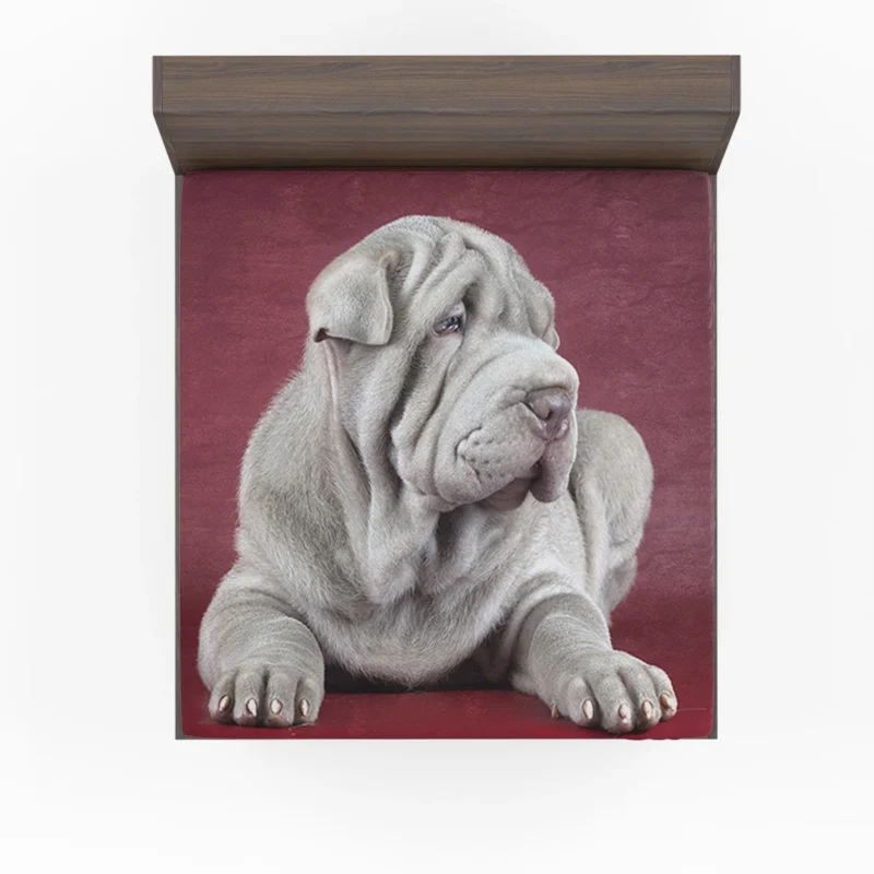 Irresistible Shar Pei Quartet Fitted Sheet