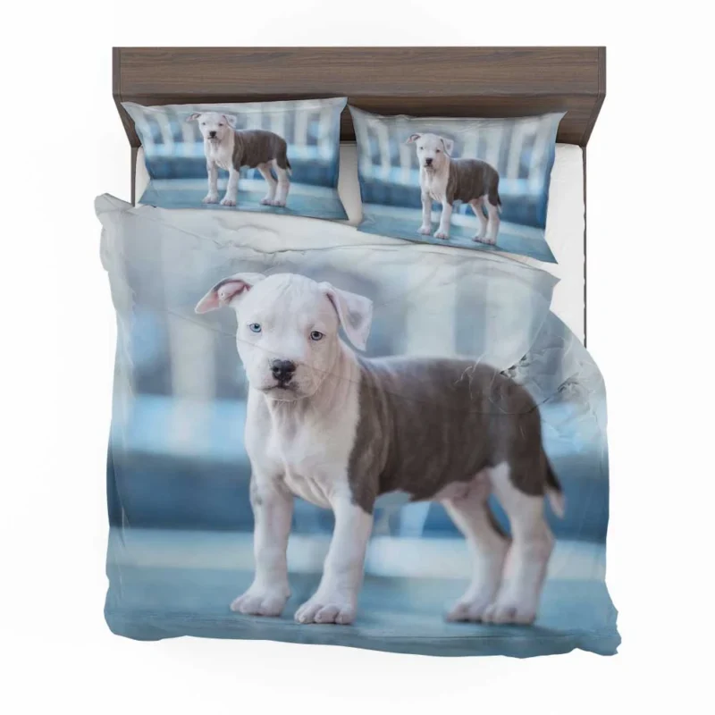 Joyful Bauble: American Pit Bull Terrier Puppy Quartet Bedding Set 1