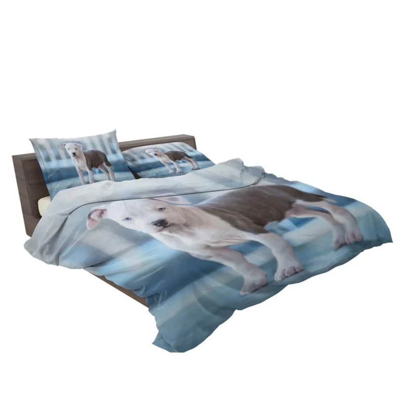 Joyful Bauble: American Pit Bull Terrier Puppy Quartet Bedding Set 2