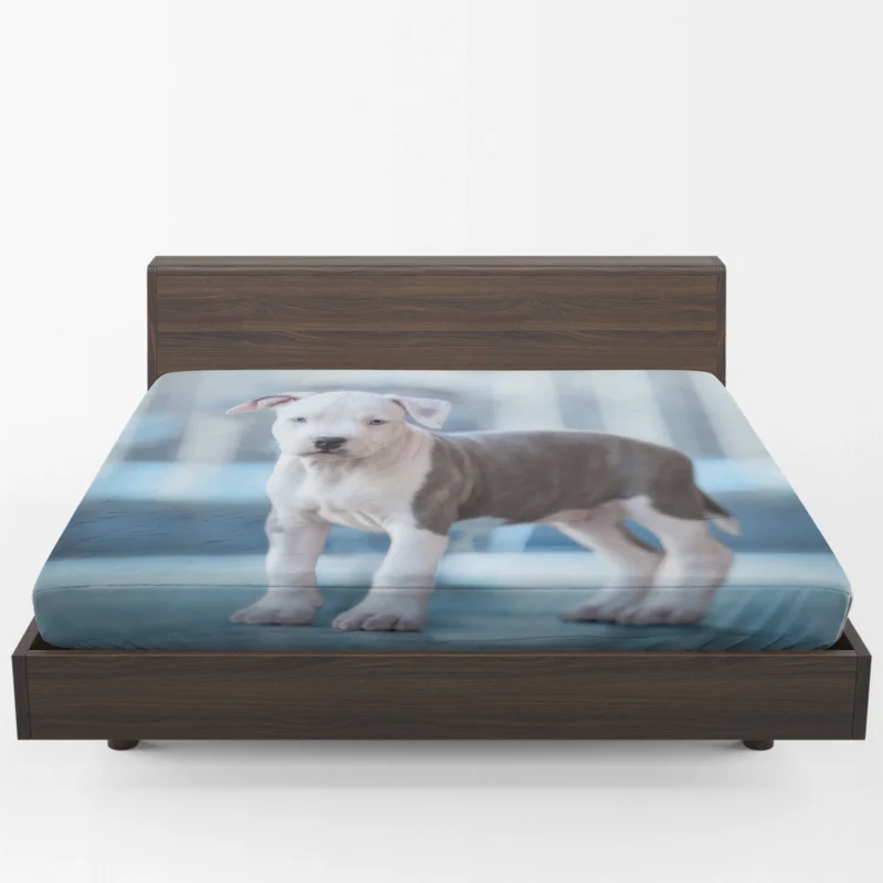Joyful Bauble: American Pit Bull Terrier Puppy Quartet Fitted Sheet 1