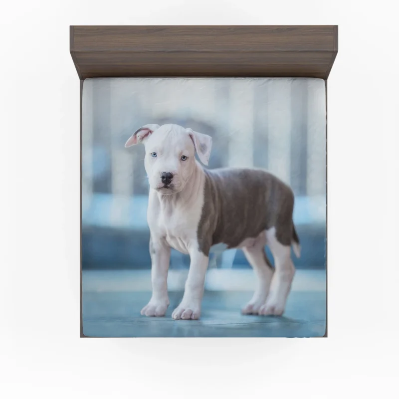 Joyful Bauble: American Pit Bull Terrier Puppy Quartet Fitted Sheet