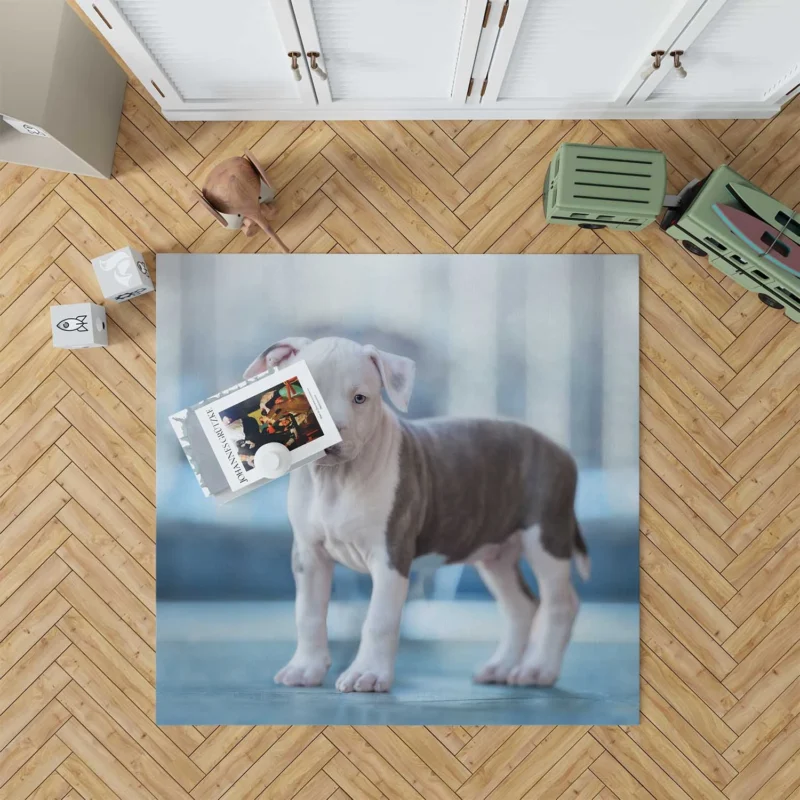 Joyful Bauble: American Pit Bull Terrier Puppy Quartet Floor Rug