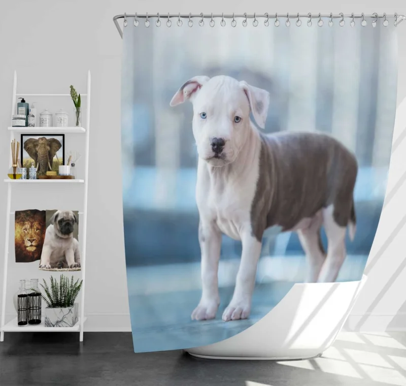 Joyful Bauble: American Pit Bull Terrier Puppy Quartet Shower Curtain