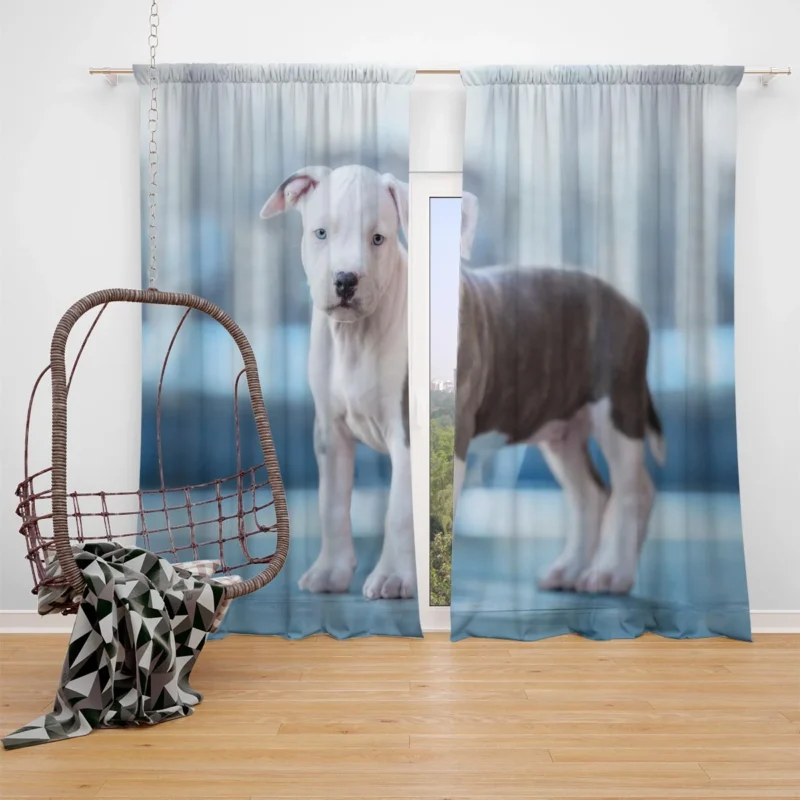 Joyful Bauble: American Pit Bull Terrier Puppy Quartet Window Curtain