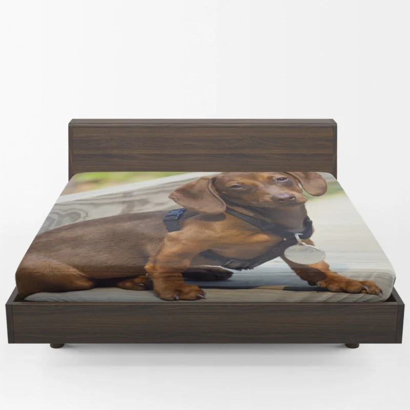 Joyful Play with Dachshund Pups: Quartet Fitted Sheet 1