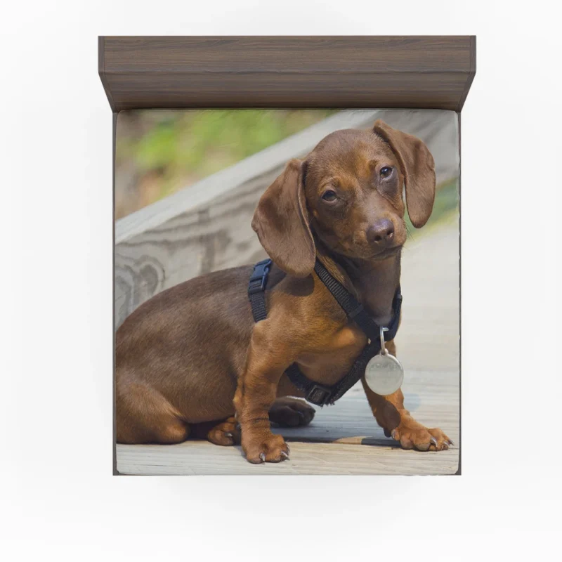 Joyful Play with Dachshund Pups: Quartet Fitted Sheet